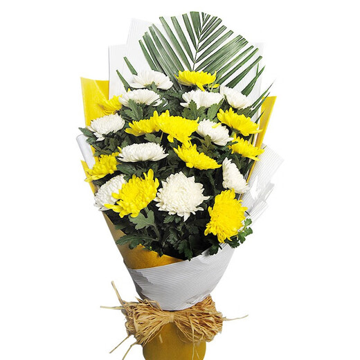 Baihua Pavilion Flowers Qingming Festival Chrysanthemums Funeral Ceremony Real Bouquets Funeral Memorial Grave Sweeping Remembering the Revolutionary Martyrs City Delivery Reminiscent of the Past|N34