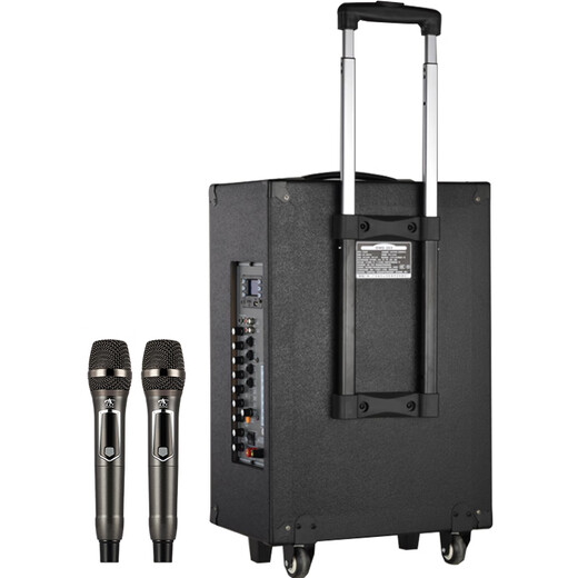 European and American sound 263 outdoor audio karaoke special all-in-one machine with sound card professional three-way singing high-power portable square dance Bluetooth trolley speaker with wireless microphone 12 inches 12 inches/263+2 microphones + spree