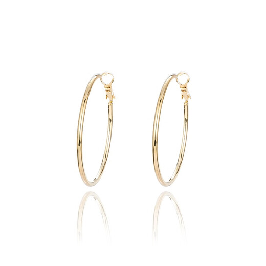 Qlady Rose Same Style Earrings Feminine High-end Large Earrings 2025 New Light Luxury Silver Needle Earrings Birthday Gift