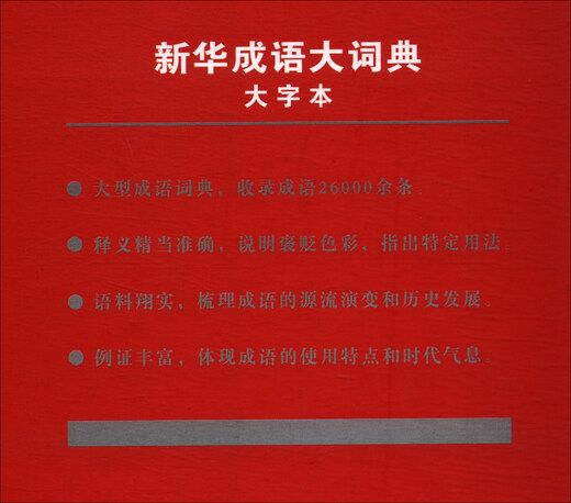 新华成语大词典（大字本）