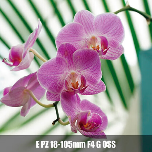 Sony E 70-350 1650 1855 18105 1655 18135 18200 half-frame mirrorless lens E PZ 18-105mm F4 G official standard