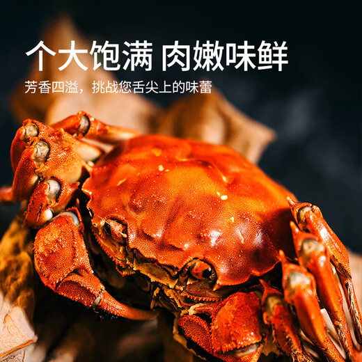 
[Gift coupon] Hufengyang Chenghu Hairy Crab Card Festival Gift Fresh Gift Box Collection Gift Card Type 698 (Male 3.0 liang, Female 2.5 liang, 4 pairs, 8 pieces)