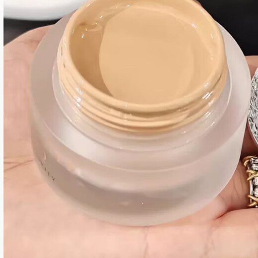 Decorte Make -up -Serie C24# ENGISCHISCHER FOUNDION 30ML