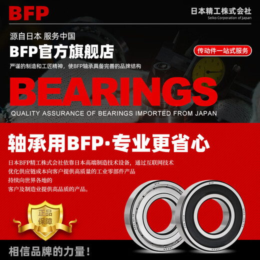 日本BFP进口轴承高速6207电机6208精密6209 6210 6211Z6212ZZ6213RS 6212-2RS胶封【P5级】60*110*22