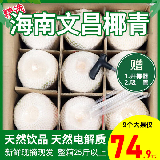 Xianyouji Hainan Wenchang Coconut Green Large Fruit Fresh Coconut Pregnant Women Coconut Picked Now Delivery Coconut Opener and Straw 4 pieces with coconut opener and straws (single fruit 900g+