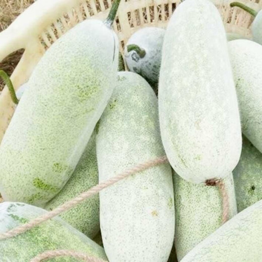 One melon per section, winter melon seeds, hairy section melon, small winter melon, stable yield for all seasons in spring, potted vegetable seeds, 100 pieces, pink-skinned winter melon