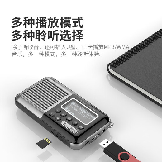 Panda (PANDA) S5 новое Bluetooth-радио для пожилых людей, многофункциональное портативное FM-радио для пожилых людей, плеер для пожилых людей, динамик для зарядной карты, оперный рассказчик, черный, отображение текстов песен / вставка U-диска TF-карты