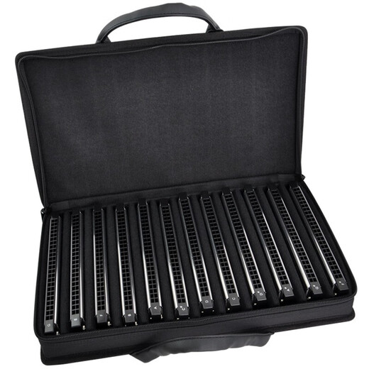 Tombo Tongbao 6624s 24-Loch-Polyphonische Mundhonica Advanced Professional Performance Anfänger und Anfänger Erwachsene Musikinstrumente Schriftzeichen 24-Loch-High-End-Performance-Modell-NM G-Tune