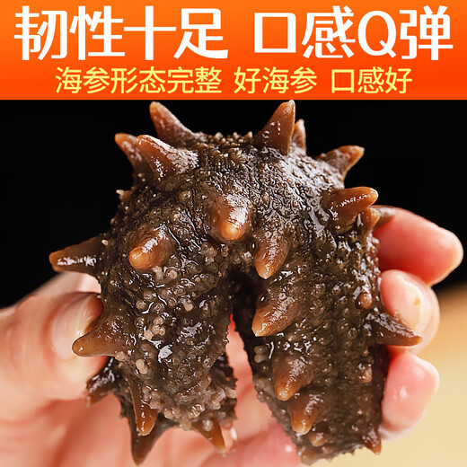 Meifengtang ready-to-eat sea cucumber Dalian individually packaged fresh wild bottom sown Liao cucumber and sea cucumber seafood New Year's goods 16-20 pieces 500g