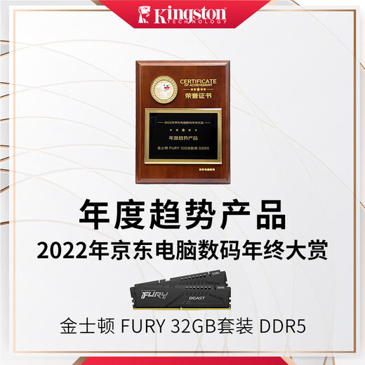 Kingston FURY 32GB (16G 2) Set DDR5 5600 Desktop Memory Beast Beast Series Hacker God
