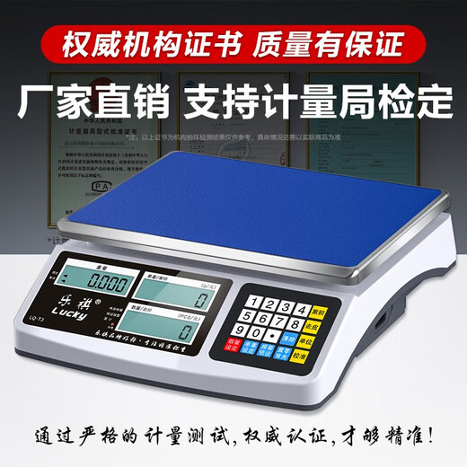 乐祺 高精度计数电子秤商用0.1g精准克称0.01g精密智能工业称重电子台秤 【充电款】30kg精度1g