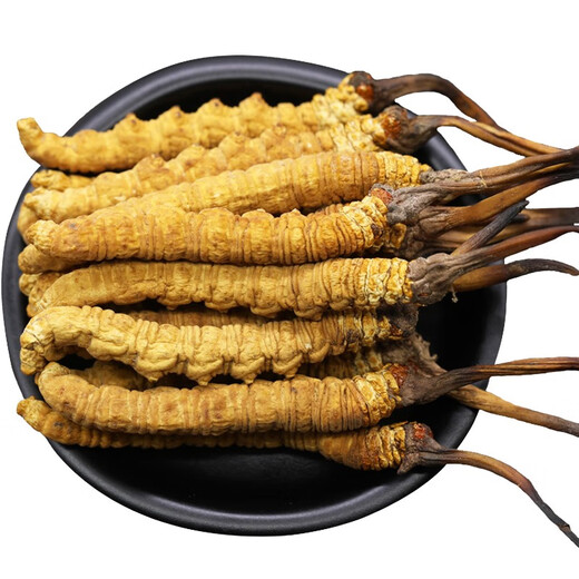 Cordyceps gift box with authentic Cordyceps 10g pack 50 high-altitude genuine Cordyceps dry goods Cordyceps gift box with authentic Tibetan area 2 1g big Cordyceps authentic Cordyceps 20g pack
