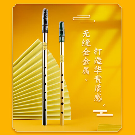 杉贝英国Feadog飞叨爱尔兰哨笛锡笛C调D调初学生哨笛我心永恒笛子乐器 彩色烤漆D调(黑色)+使用教材+电