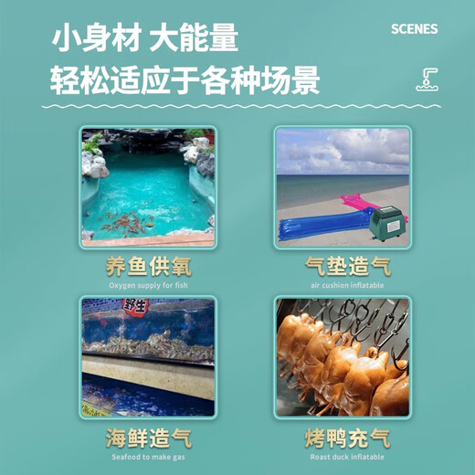 温以嘉ACO97209730氧气泵低噪音家用大功率养鱼池防雨水打氧增氧机 9720 20W 带15cm爆氧圈1个