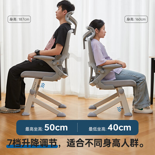 Duanlang U3F four-legged ergonomic chair office reclining seat home study computer chair study chair 702FB gray