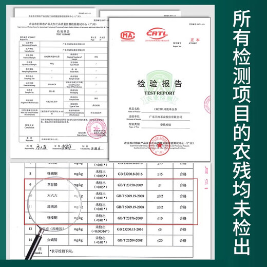 1392 Tianchi Tea Industry Authentic Chaozhou Phoenix Single Cong Chun Tea Fragance Fabor de orquídeas de 125 g de mierda de pato de larga duración 125 g COMPRA DE COMPRA DEL REFTABLE DE MIERDA DE PATO 125G (envíe una burbuja de sabor a un solo cong)