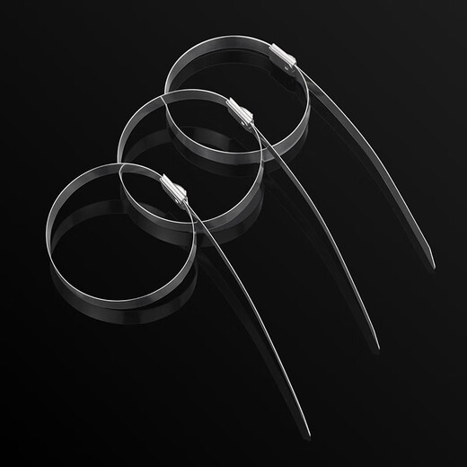 Jinggong (JINGGONG) 304 stainless steel cable ties self-locking tightening outdoor high temperature resistant marine binding metal steel bar tie wire 4.6/7.9MM 4.6*200mm (100 pieces/pack) Discount