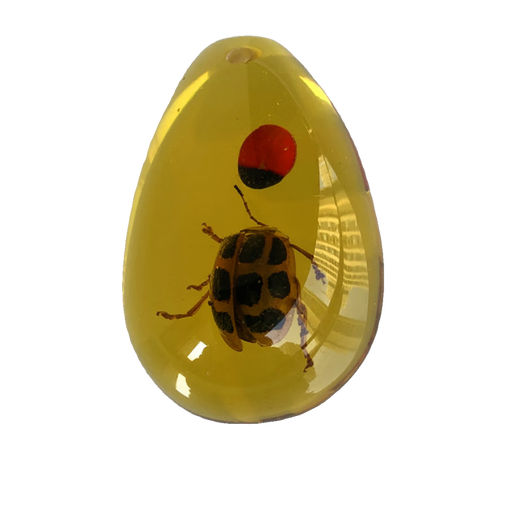 DL 1998 Fat Donglai quality amber insect specimens real insect amber children's excavation archaeological blind box insect amber accessories students gold amber scorpion 1