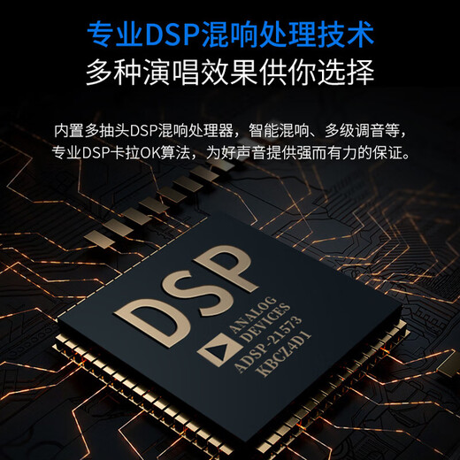 天逸（Winner）AT-2300PRO家用家庭影院全景声影K一体功放7.1声道KTV放大器多功能客厅功放机大功率放大器 AT-2300 PRO