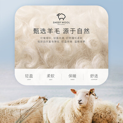 HLA海澜之家长袖衬衫男春秋衫及系列含羊毛纯色衬衣男