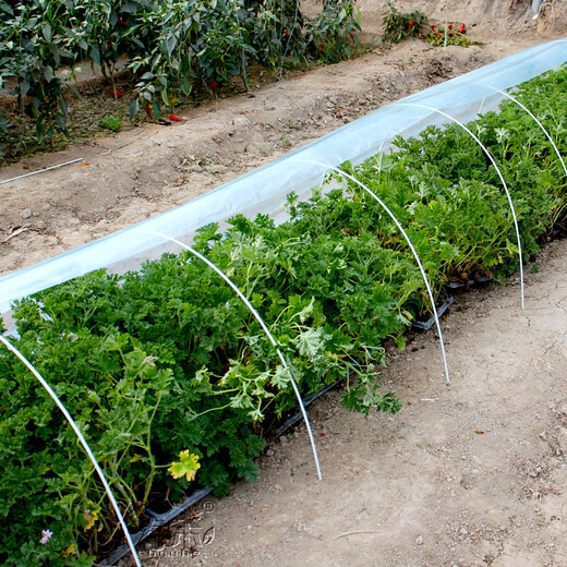Shouhe vegetable shed plastic film and bracket mulch film agricultural vegetable shed shelf vegetable cold-proof arch shed film 2 meters wide * 5 meters long