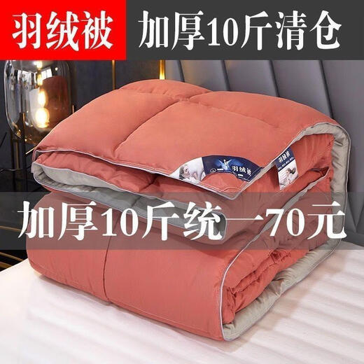 羽绒被95白鹅绒加厚保暖冬被春秋被单双人酒店被冬季被芯棉 150*200夏被 蓝灰色