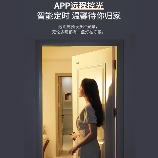 
Less (NVC) LED ceiling lamp study master bedroom second bedroom lamp warm romantic lamp iron lamp Nordic postmodern lamp 52W 15-in-15 1476lm round lamp intelligent control