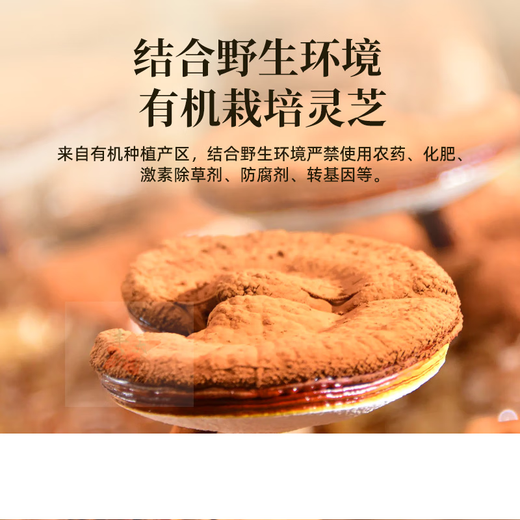 Allgemeines (GE) Bio-Ganoderma lucidum sporenpulver zhongzhilin organic ganoderma lucidum spore pulver bricht die wandreading-eat tourenbox Raum a56ll3 Erschwingliche Sechs-Box-Ganoderma lucidum spore pulver
