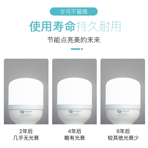 Deyan LED light bulb super bright household energy-saving lamp indoor lighting factory high-power screw E27 light bulb white light 65W-E27 screw-1 pack