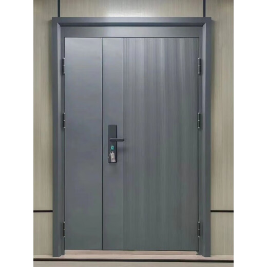 维诺亚家用入户防盗门子母门单门入户门防晒大门工程出租屋门双开门加高 1970*860【外/内开联系客服】 不包安装/物流自提