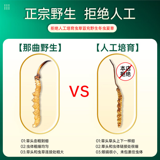 昭鹰之峰【野生】冬虫夏草 西藏那曲高海拔头期新干虫草 送父母滋补品礼盒 那曲野生4根/克30克 120根【尊雅礼盒装】