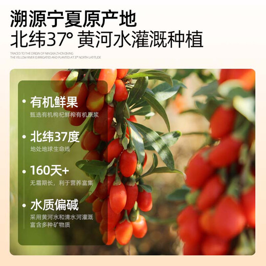 河西女子 有机枸杞原浆500ml*6礼品盒 中宁正宗头茬枸杞不添加 送长辈礼物