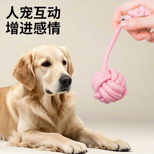 ZanChong Macaron Cotton Rope Teething Dog Toy 4-piece Set Dog Toy Bite-Resistant Teething Ball Pet Puppies Little Self-Happiness