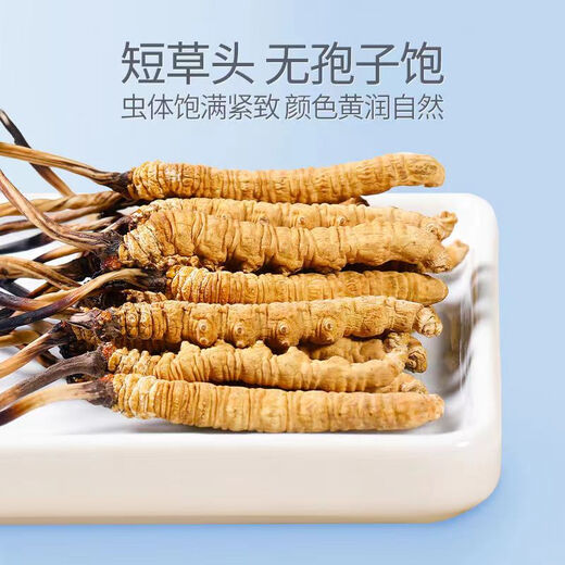 Wazang genuino Cordyceps Cordyceps Box en futuros de cabeza Cordyceps Cordyceps Cordyceps Altitud 5 raíces/g 1 gramo