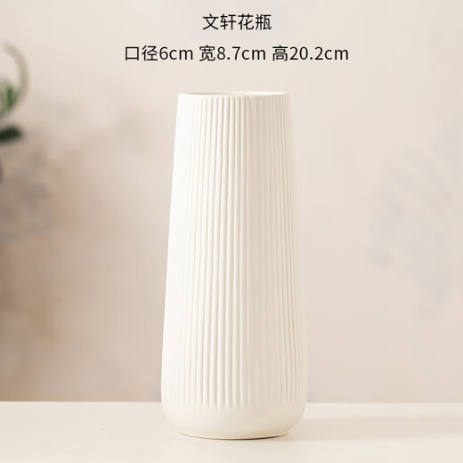 Mu Ding Ding simple style ceramic art vase white home living room with flowers for decoration high-end birthday gift