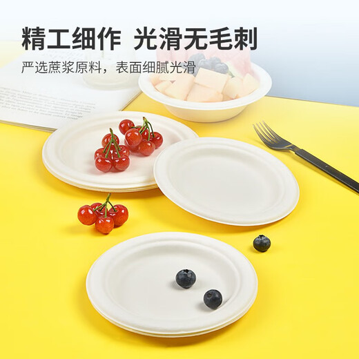 Temeiju disposable plate 10-inch cake fruit paper plate thickened biodegradable dinner plate cutlery 30 pieces 26cm