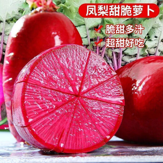 凤梨水果萝卜种子生吃紫美人萝卜胭脂萝卜籽夏季四季蔬菜种子大全 水果型凤梨萝卜种子(今年新种) 精品原装【1098粒】五包