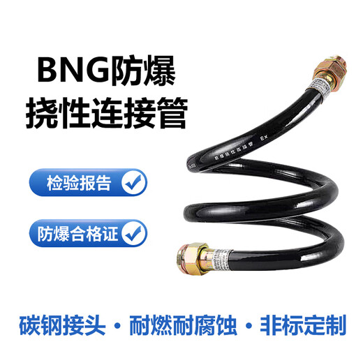 YFGPH explosion-proof flexible connecting pipe BNG explosion-proof cable disruptive wiring pipe explosion-proof threading hose 6 points DN20*2000mm/one internal and one external thread