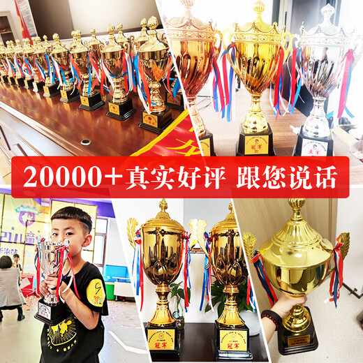 金属奖杯定制创意水晶定做足球篮球奖牌运动会儿童奖章幼儿园 9902 中号