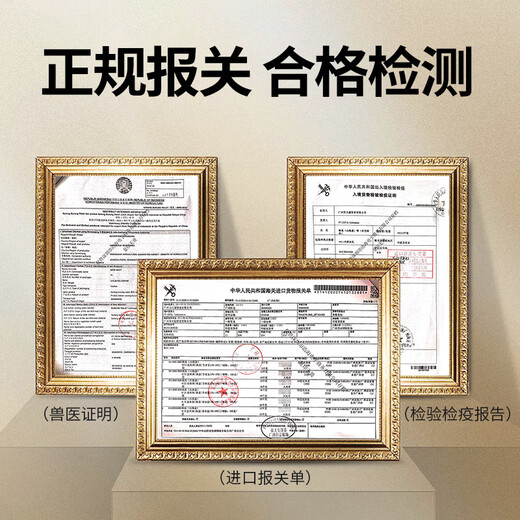 
Jewelry Angel [Imported Bird's Nest] Indonesian origin-trace bird's nest One cup One code Pregnant women bird's nest Nutritional products New Year's gift box Gift 9A100g Selected origin-trace bird's nest (Give it a luxury gift package)