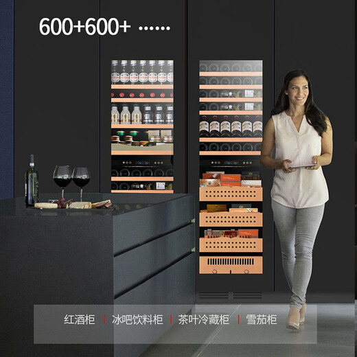 DBERLAN Embraco variable frequency air-cooled built-in red wine cabinet, constant temperature wine cabinet, cigar cabinet, tea beverage cabinet, can be hung outside the kitchen cabinet door panel, seamless installation for home use, variable frequency can be hung outside the door + single temperature, 116 bottles