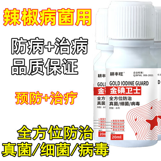 Gengfengwang pepper special agent, pepper disease medicine, gray mold early and late blight, wilt, downy mildew virus disease, pepper medicine 100ml (5 acres)