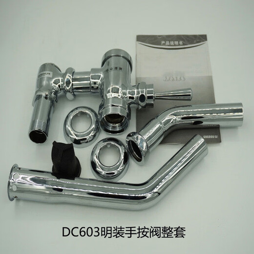 Renjuyi adapted squat toilet flush valve DC603VLR VLFR foot valve hand valve accessories valve core foot pedal custom hand valve surface mounted complete set