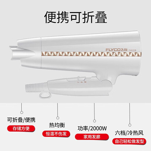 博锐飞科旗下电吹风家用大功率吹风筒负离子吹风机冷热风理发店FH6101 FH6228 2000W可折叠带负离子