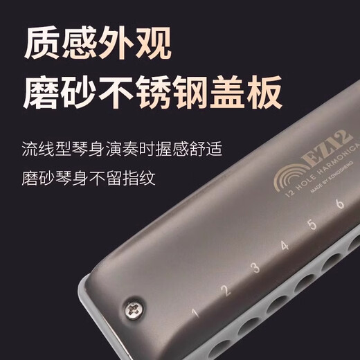 Loch Sound 12 Loch Gesamtskala Blues Harmonica EZ12 Anfänger Tuning Blues harmonica Erwachsener Performance Grad A-Tuning Gold (kein Notwendigkeit, den Klang zu drücken, und mit Bass 46 ausgestattet)
