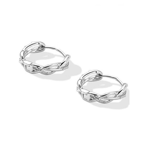 Nilan platinum earrings PT950 unique circle female sense light luxury niche design platinum earrings 2024 thorn earrings