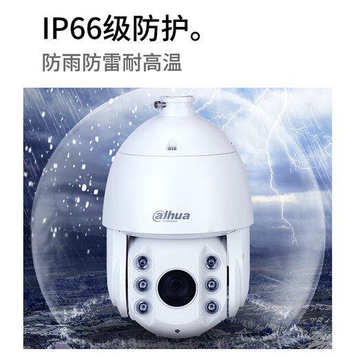 dahua大华球机摄像头 人脸检测 抓拍光学变倍4K超清星光夜视360度巡航旋转 云台球机 夜视150米室外防水 SD6223-A-i【200万全彩23倍变焦】