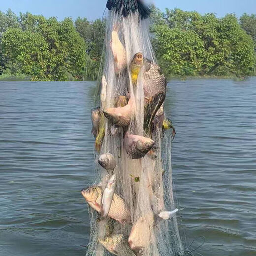 Luo Zangdou fishing net cast net hand-thrown net fishing net wire mesh three-layer sunken net single-layer floating net hanging fish net fishing net white striped crucian carp three-layer 2-finger 1.2 meters high 21 meters long sunken net