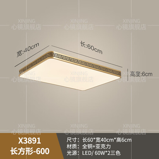心镜全铜吸顶灯别墅入户灯室外防水阳台灯庭院过道走廊超薄防蚊虫顶灯 X3891-400*600/长方形