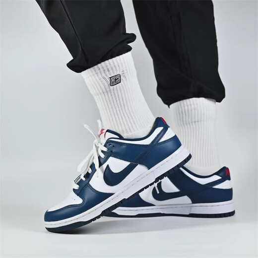 耐克（NIKE）Dunk Low 白灰 摩卡 棕黑白男低帮舒适防滑耐磨休闲运动百搭板鞋 DD1391-400白蓝 40 (250mm)